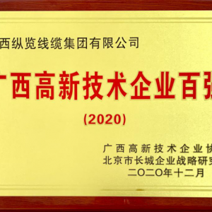 縱覽線纜集團(tuán)入選“2020年廣西高新技術(shù)企業(yè)百?gòu)?qiáng)”榜單