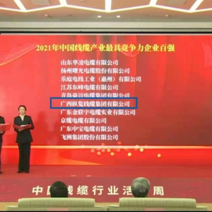 喜報！縱覽線纜集團榮膺 “中國線纜產(chǎn)業(yè)最具競爭力企業(yè)100強” ...